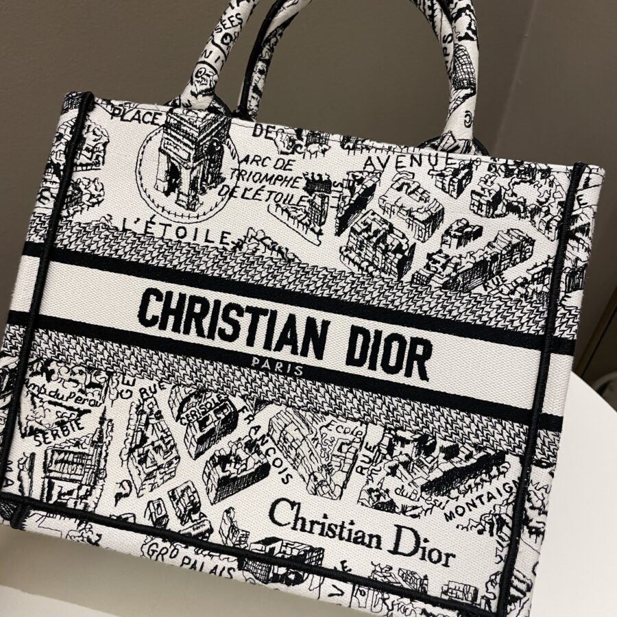 Dior Plan de Paris Book Tote White / Black | Studio Nafay