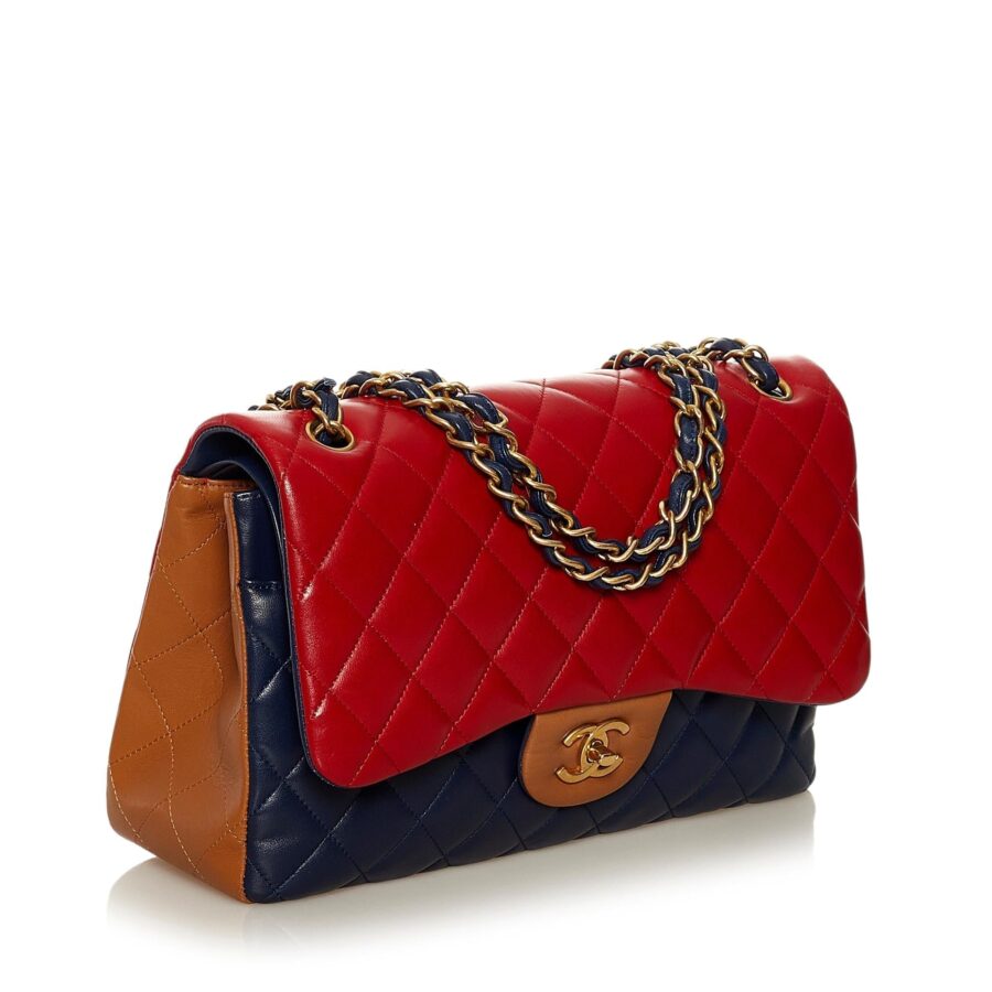 Chanel Tricolor Medium Classic Double Flap bag | Studio Nafay