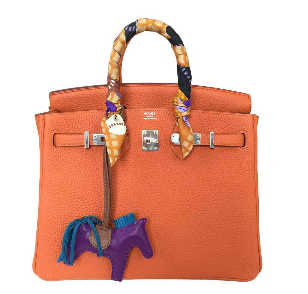 HermesBirkin 25 Feu Clemence Bag - Product Image 2