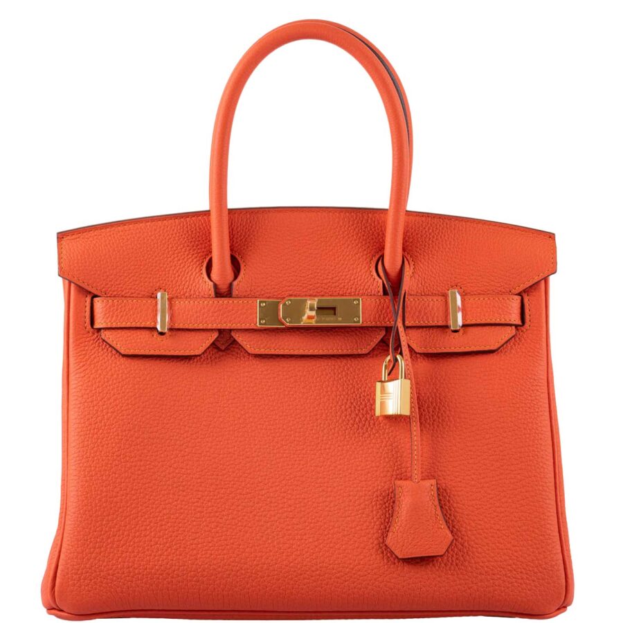 HermesBirkin 30 Feu Togo Gold Hardware -, Y | Studio Nafay