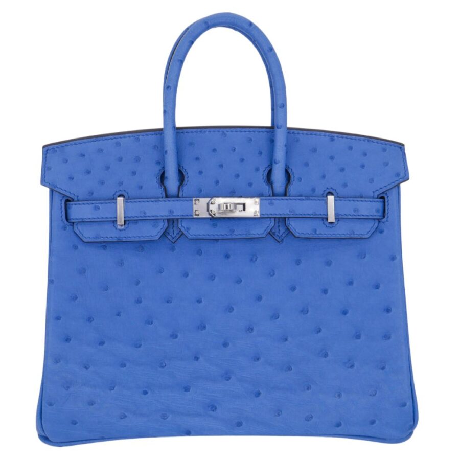 Hermes25cm Birkin Mykonos Ostrich Palladium Hardware | Studio Nafay