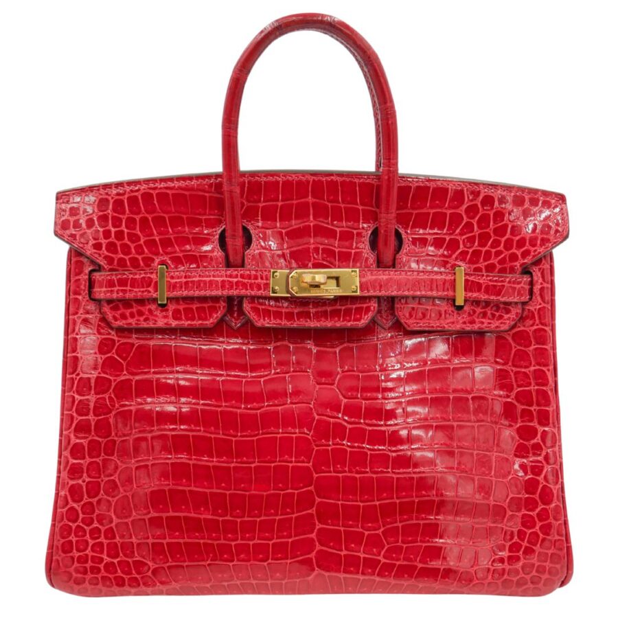Hermes25cm Birkin Braise Shiny Niloticus Crocodile Gold Hardware | Studio Nafay