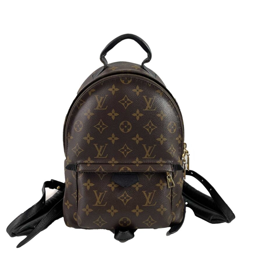 LOUIS VUITTON Monogram Canvas Palm Springs PM Brown Backpack | Studio Nafay