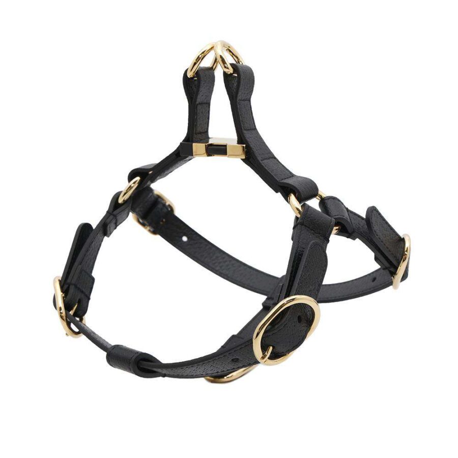 GUCCI ?Pet harness Black692963 Leather Size S | Studio Nafay