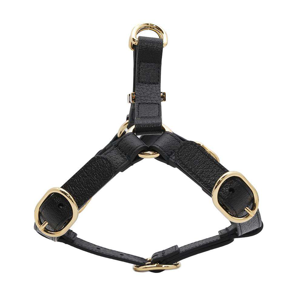 GUCCI ?Pet harness Black692963 Leather Size S