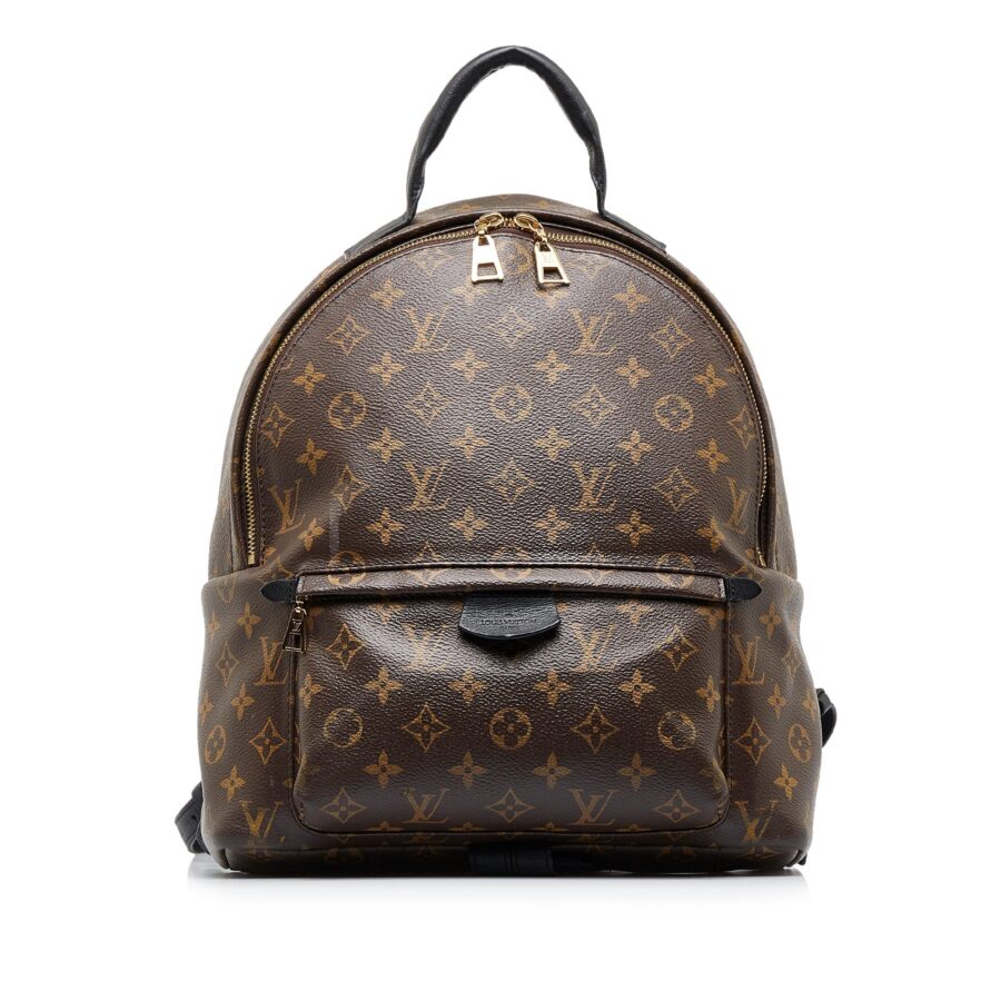 LOUIS VUITTON Monogram Palm Springs MM Backpack | Studio Nafay