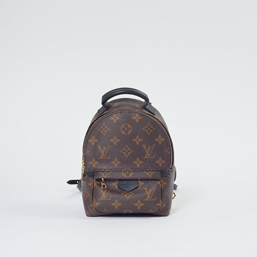 Louis Vuitton Monogram Mini Palm Springs Backpack | Studio Nafay