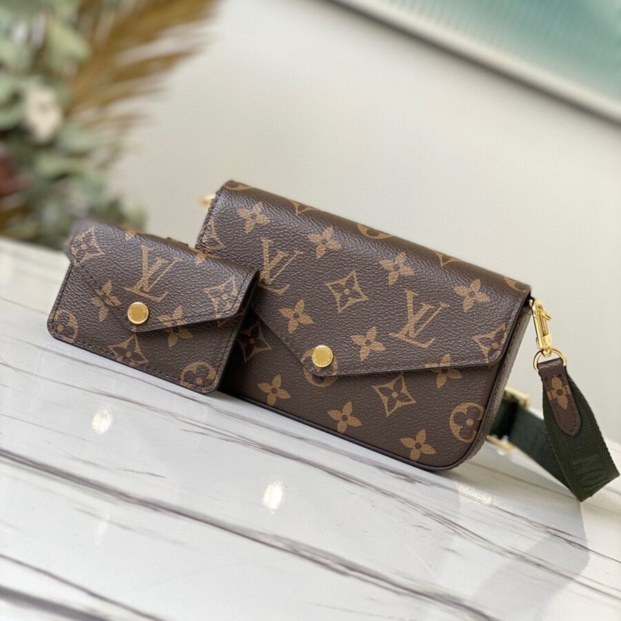 Louis Vuitton Felicie Strap & Go Bag | Studio Nafay