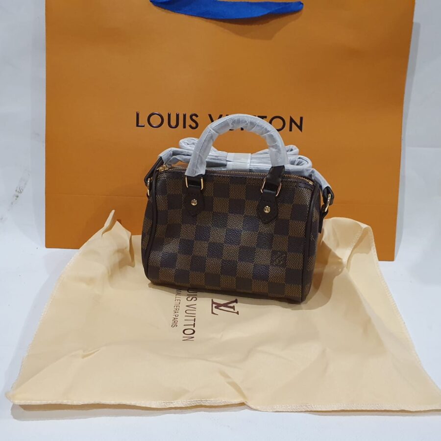 Louis Vuitton mini handbag | Studio Nafay
