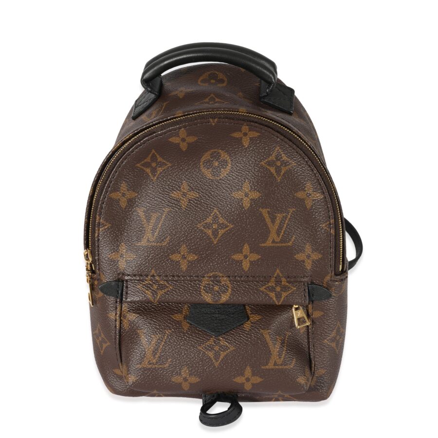 Louis Vuitton Monogram Canvas Palm Springs Mini Backpack | Studio Nafay