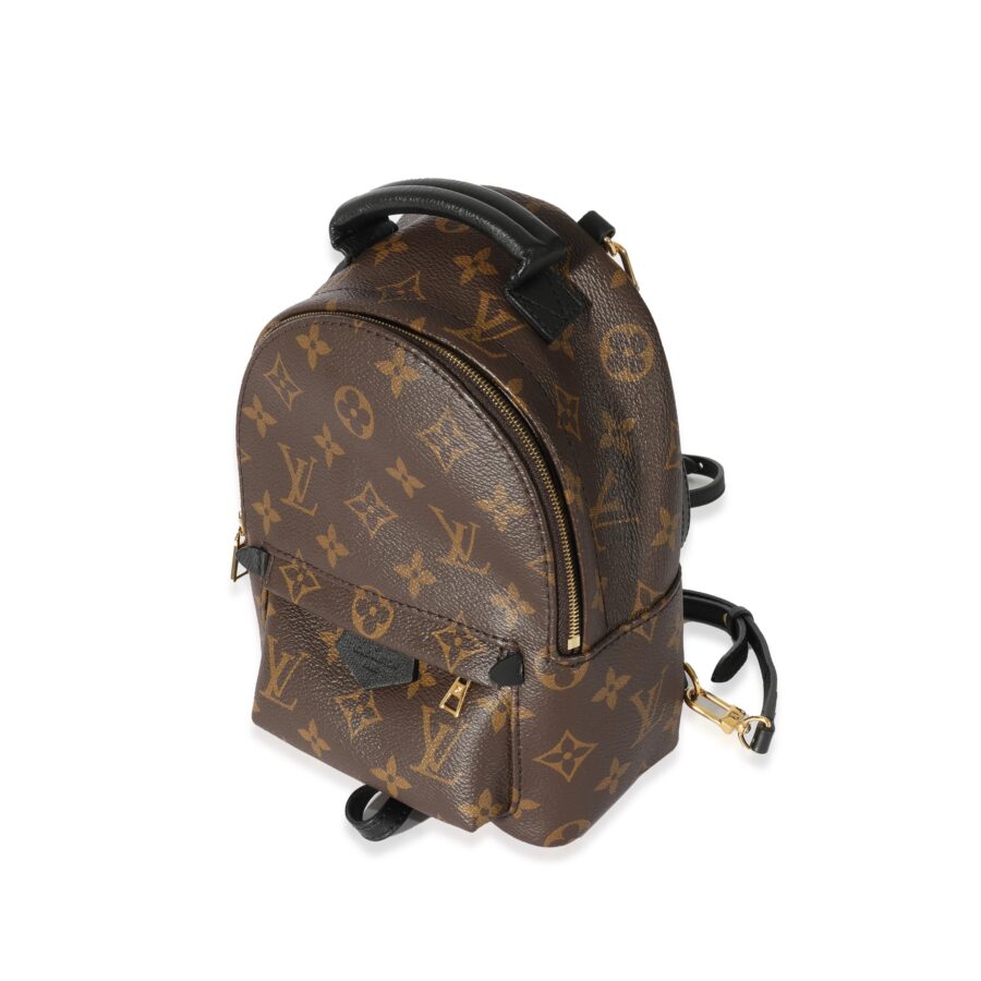Louis Vuitton Monogram Mini Palm Spring Backpack | Studio Nafay